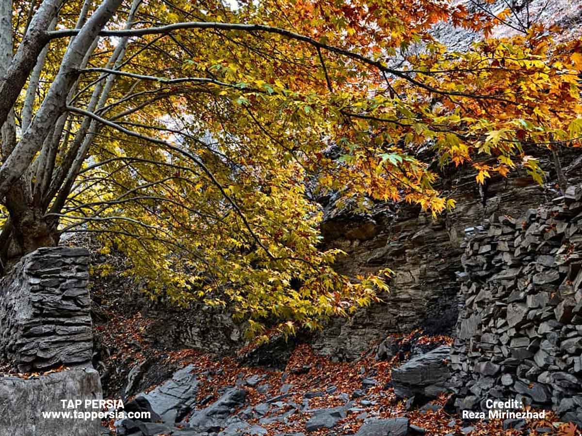 Unwind in Traditional Persian Gardens