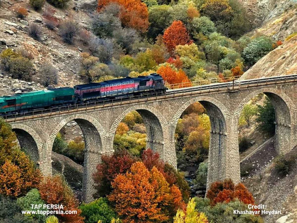 Awe-Inspiring Encounter