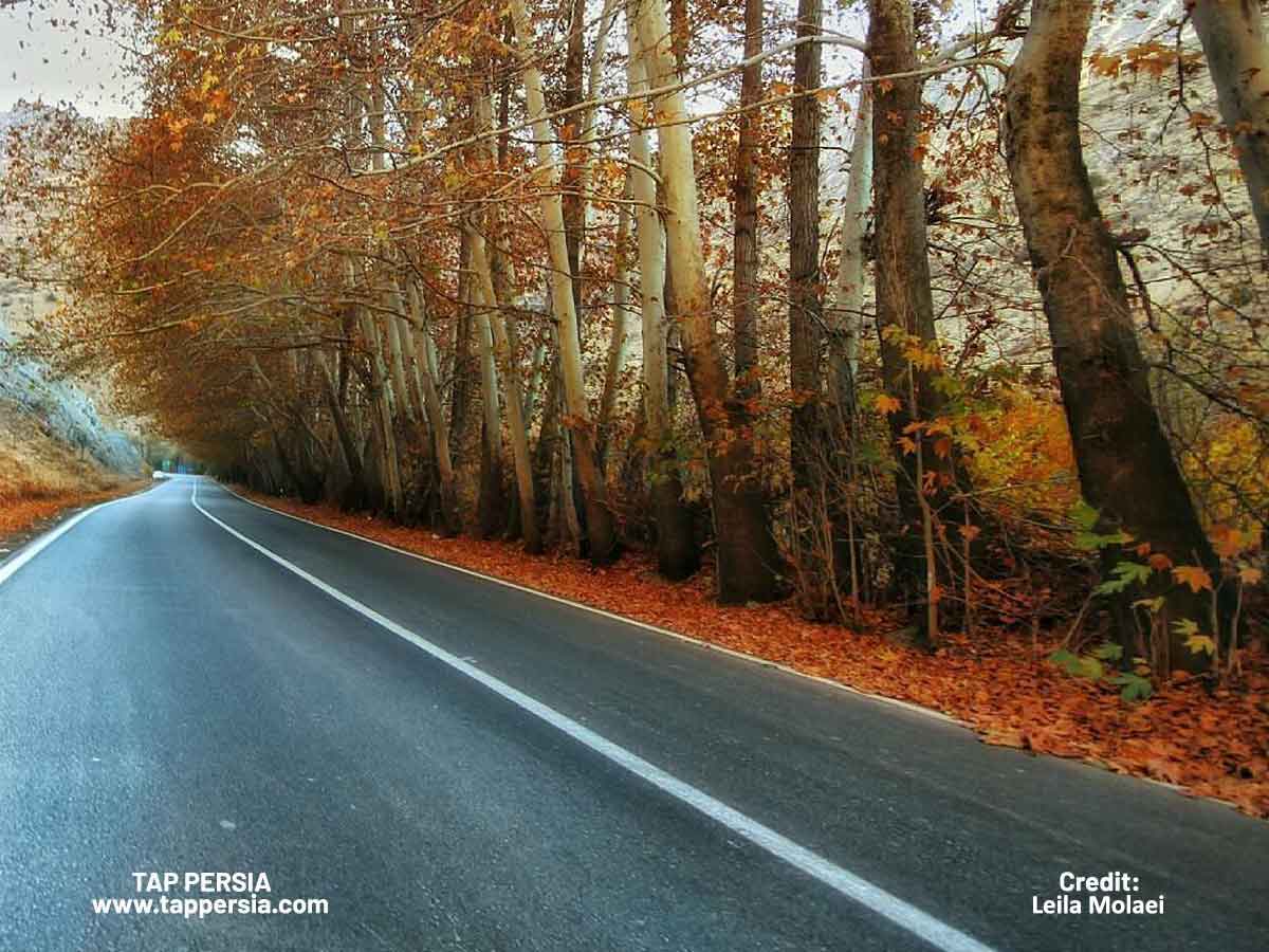 The Wonderful Chalus Road