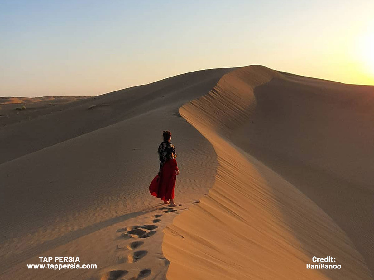 Experience a Desert Adventure