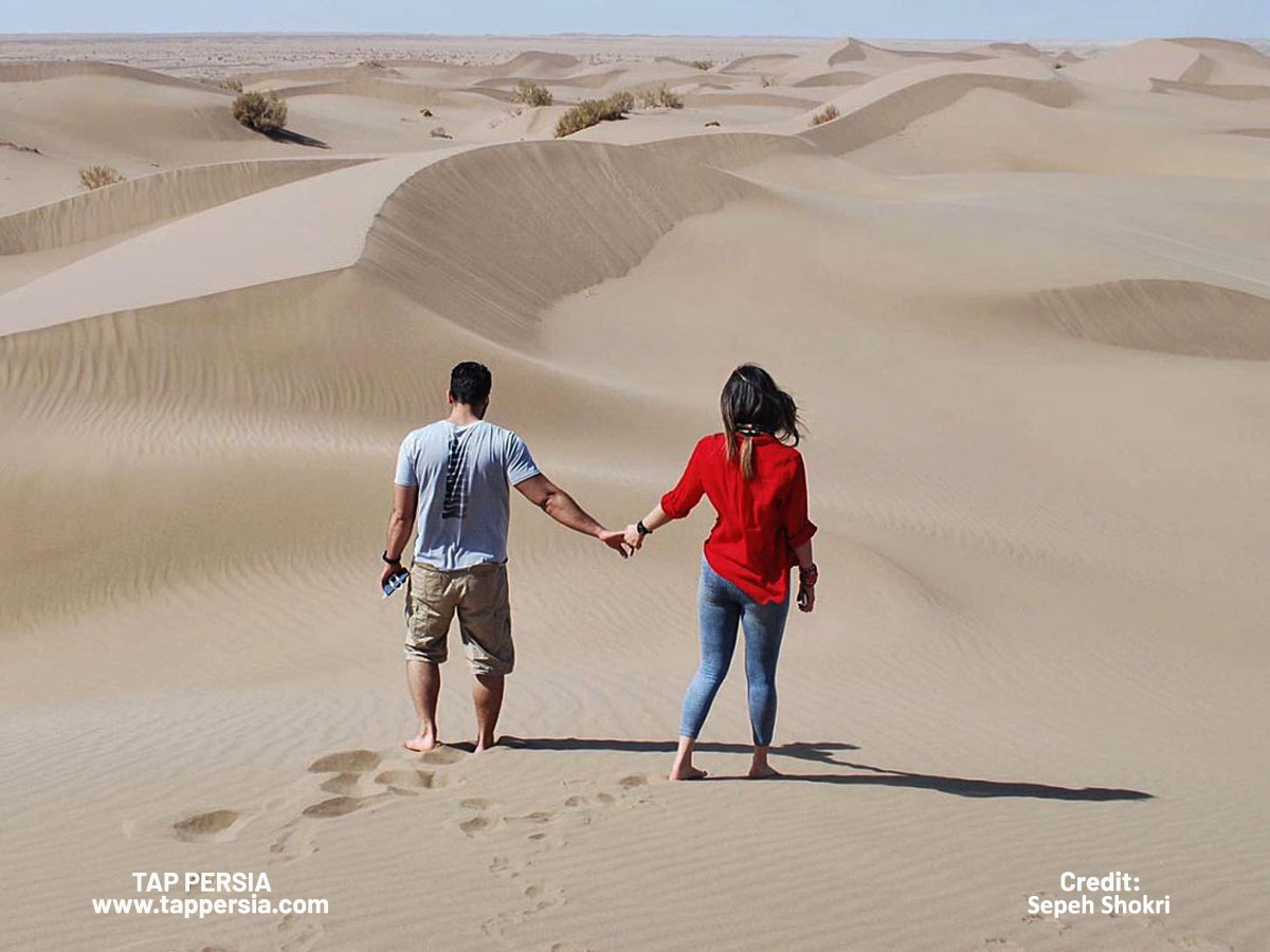 Experience a Desert Adventure