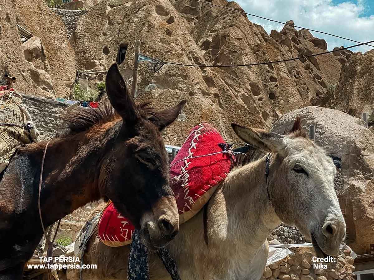 Kandovan Village, East Azerbaijan
