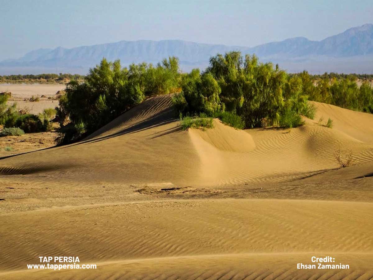 Tabas Desert