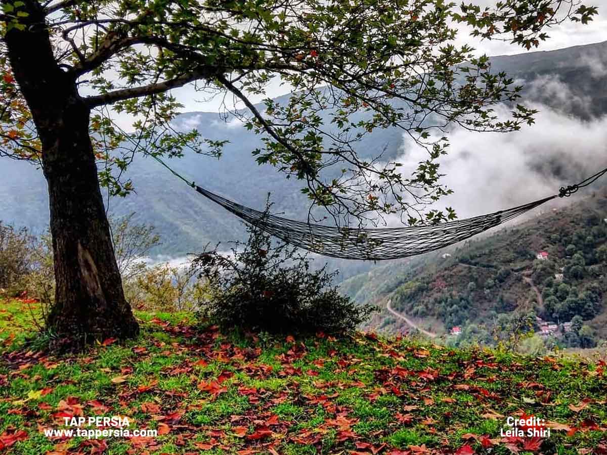 Capture Fantastic Memories