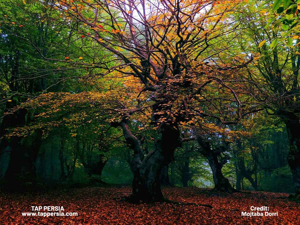 Stunning Natural Landscapes