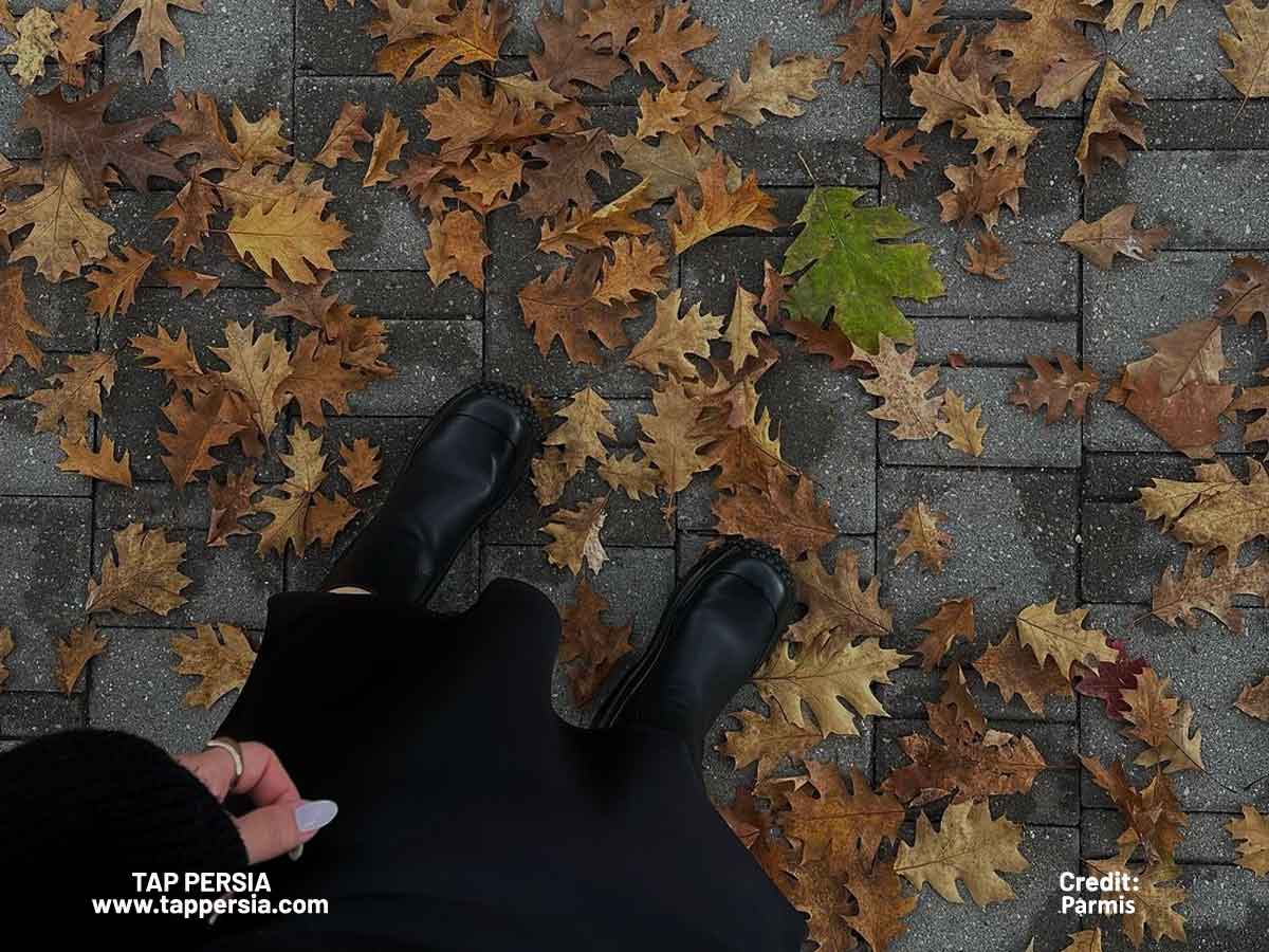 Spectacular Fall Foliage