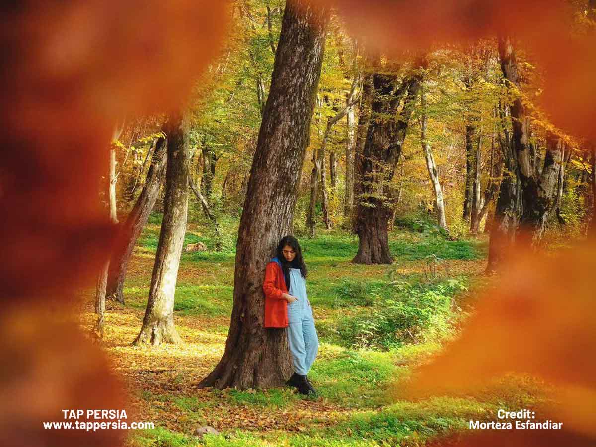 Explore Iran’s Ancient Wonders