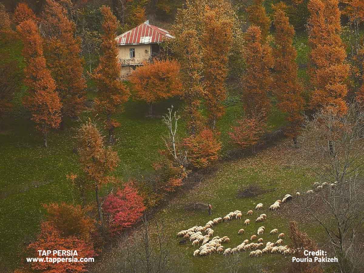 Explore Iran’s Ancient Wonders