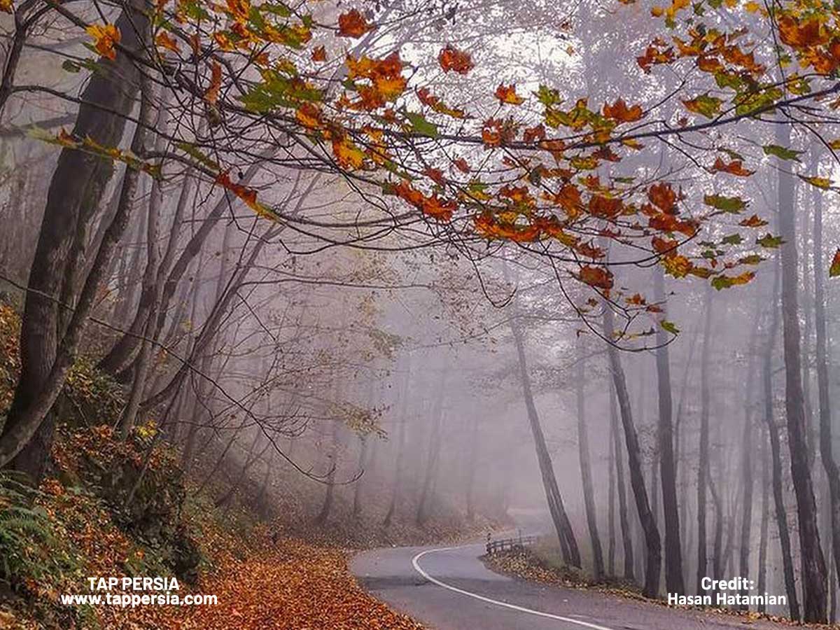 Spectacular Fall Foliage