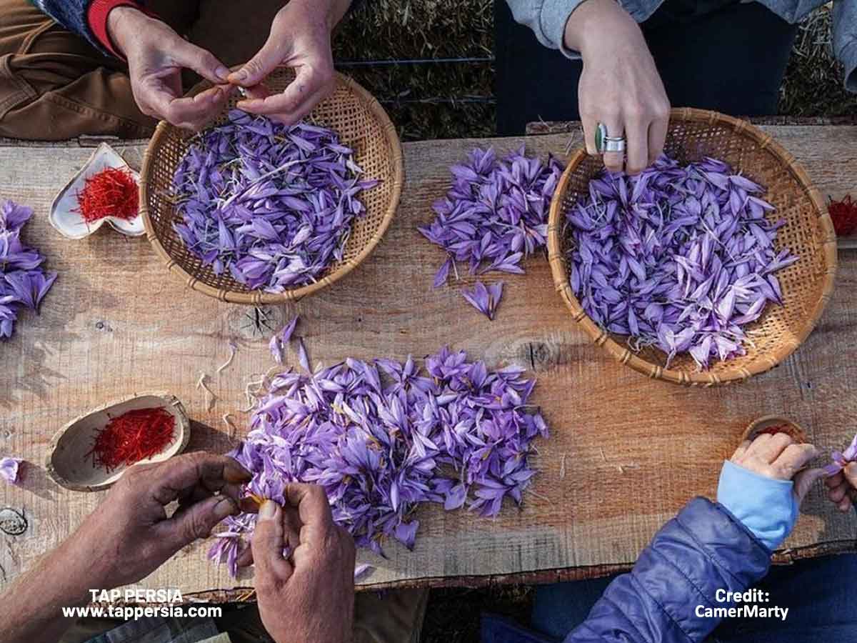 iranian Fall Festivals and Traditions