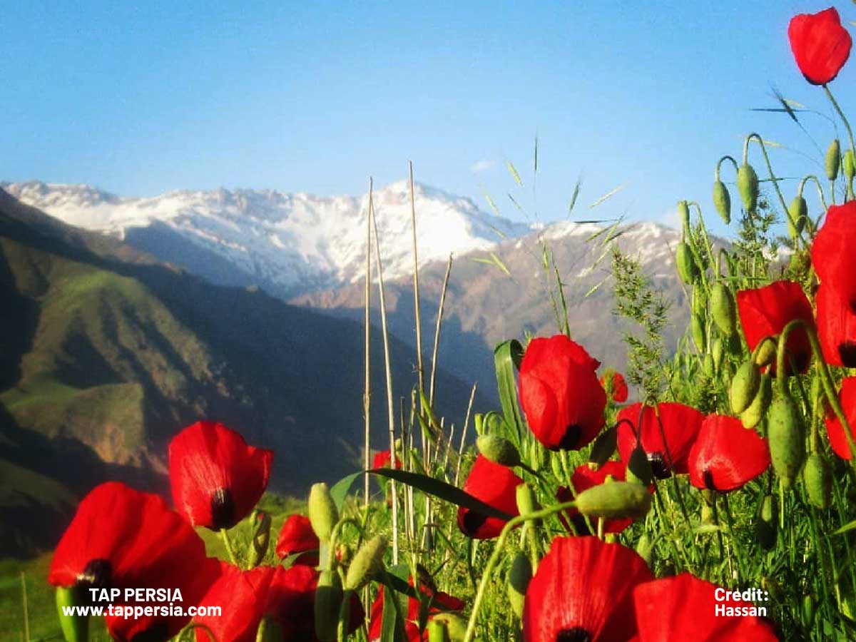 Alamut Valley, Qazvin