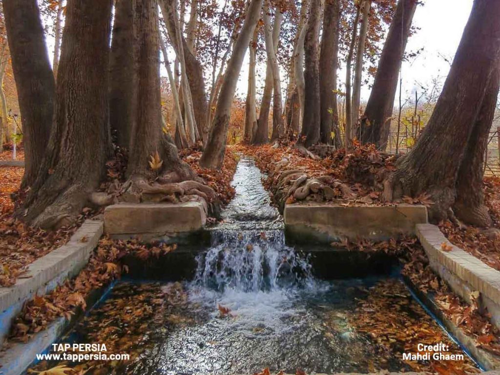 Persian Gardens in Fall