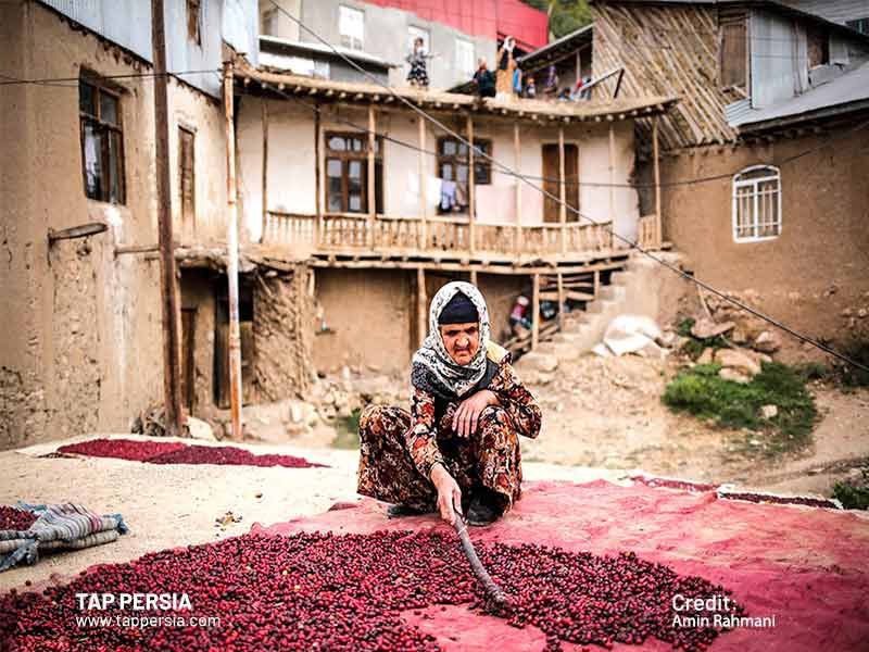 Hir Village: Qazvin’s Cornelian Cherry Village