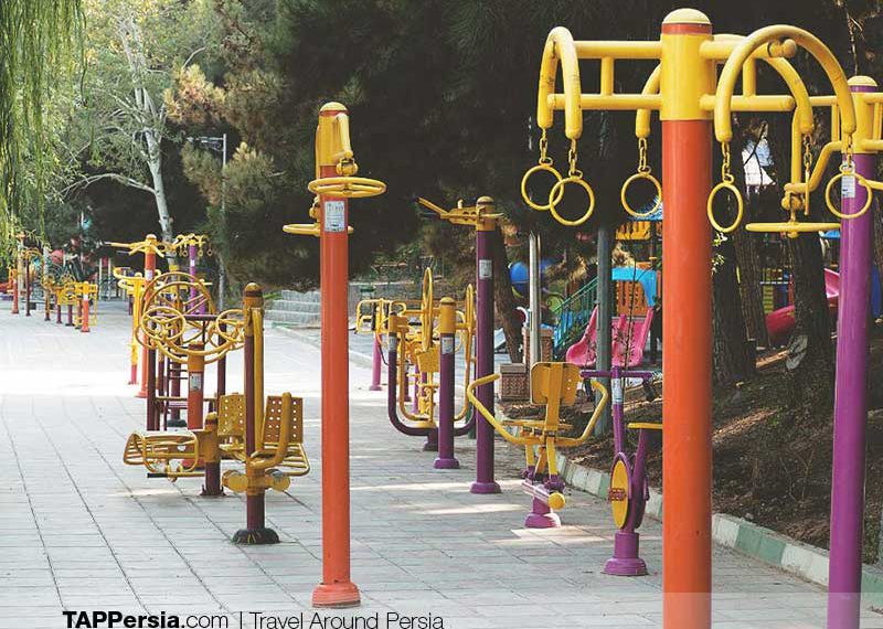 Exercise-in-Iran-TAP-Persiain Iran