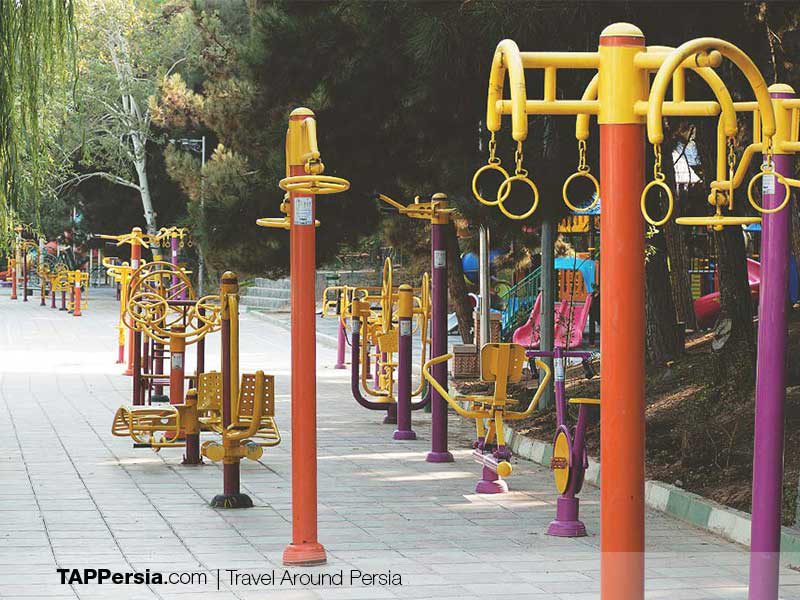 Exercise-in-Iran-TAP-Persiain Iran