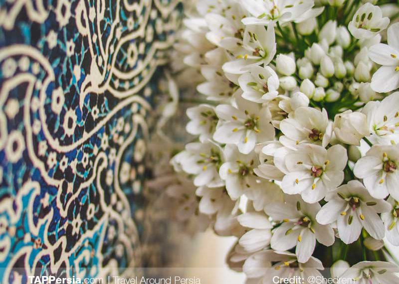 Iran Flowers Culture - TAP Persia