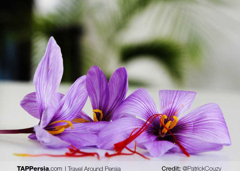 Saffron – The Secret Ingredient of Every Iranian Dish