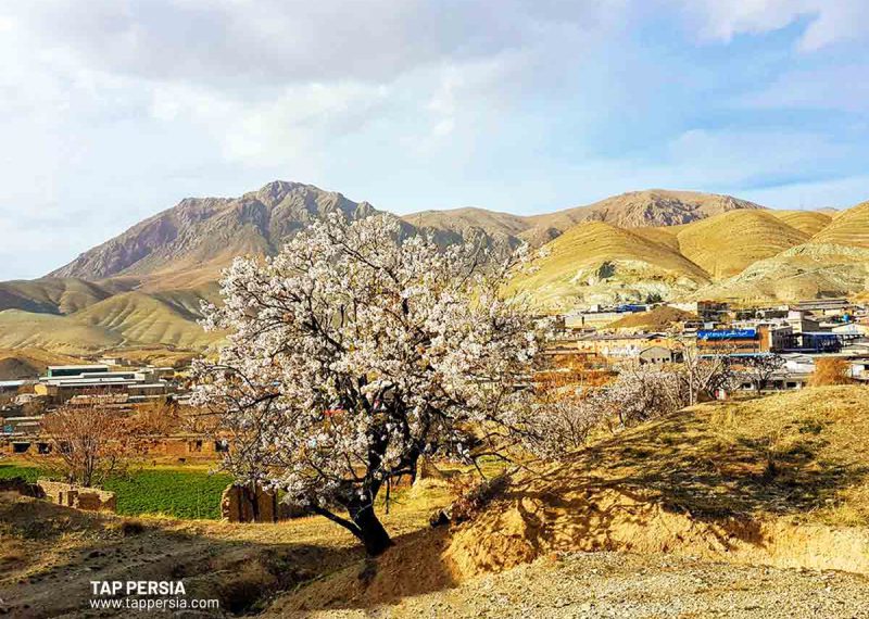 Sights around Khojir Forest Park
