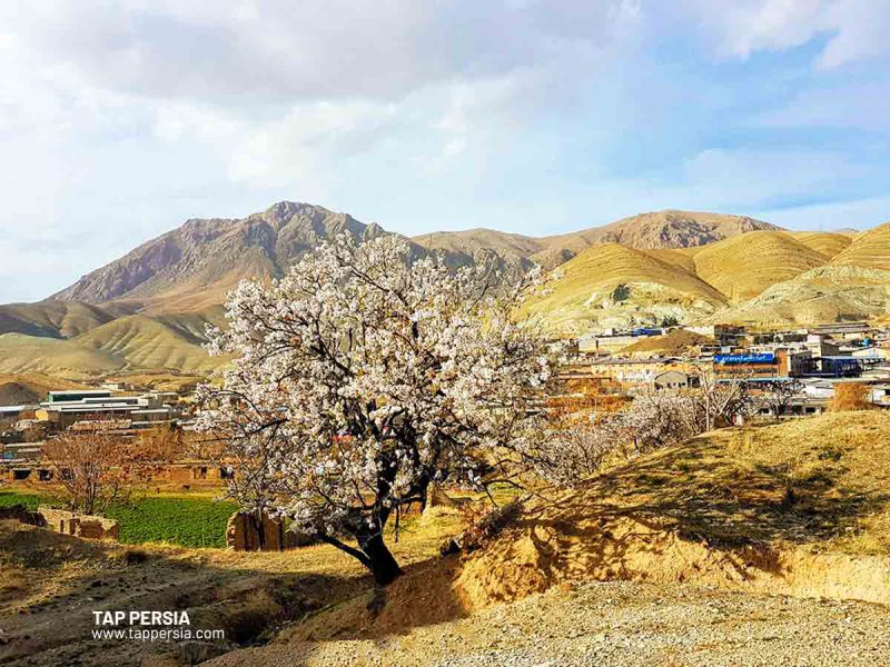 Sights around Khojir Forest Park