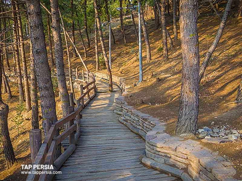 The 15 Best Tehran Nature & parks