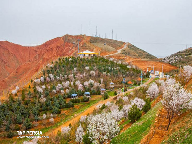 Eynali Mountain Forestry - Tabriz