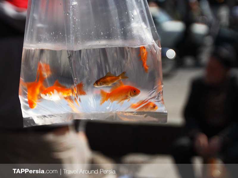 Nowruz | Iran Event
