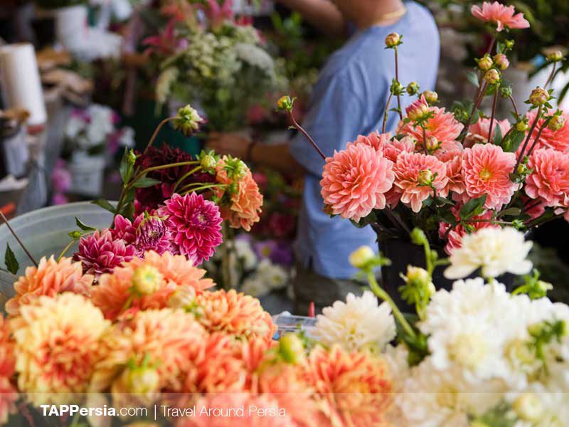 Iran Flowers Culture - TAP Persia