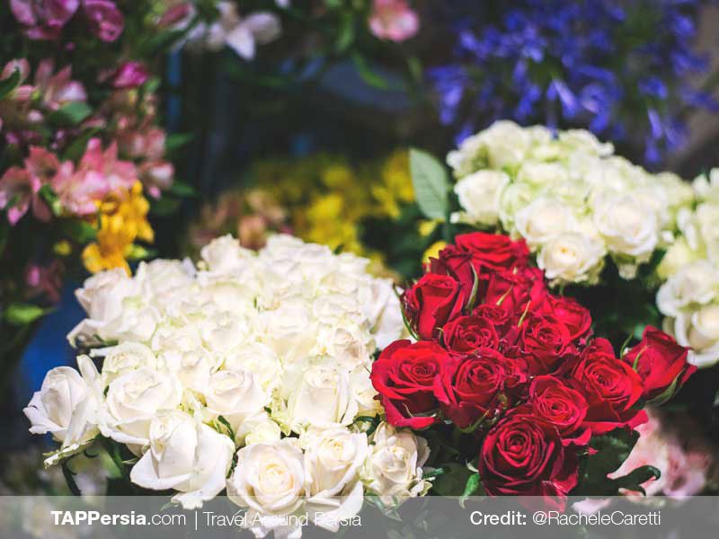 Iran Flowers Culture - TAP Persia