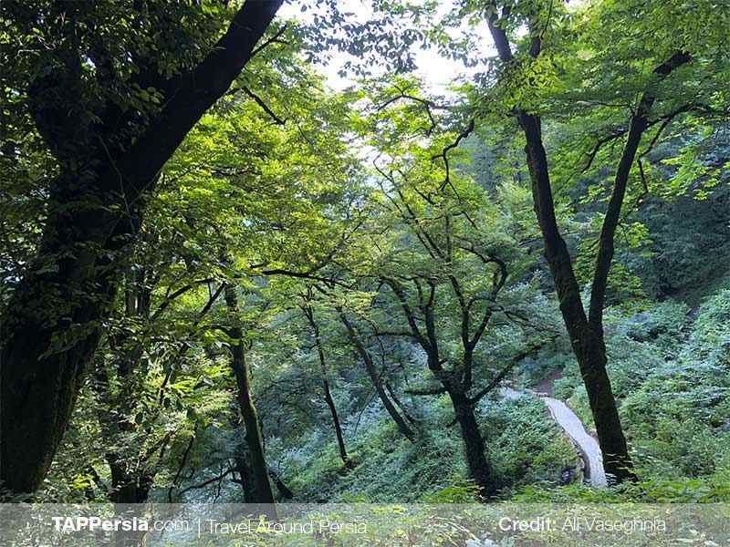 Rudkhan Castle (Qaleh Rudkhan) - Rasht Top Attractions - TAP Persia