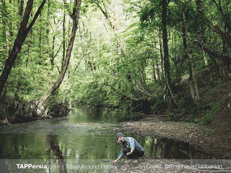 Saravan Park-Rasht Nature-TAP Persia
