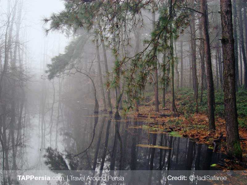 Saravan Forest Park