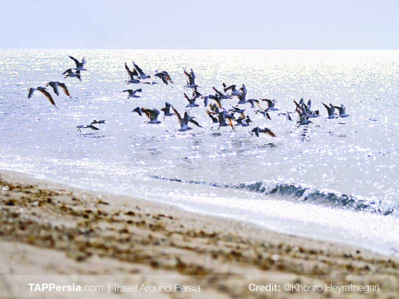 Persian Gulf