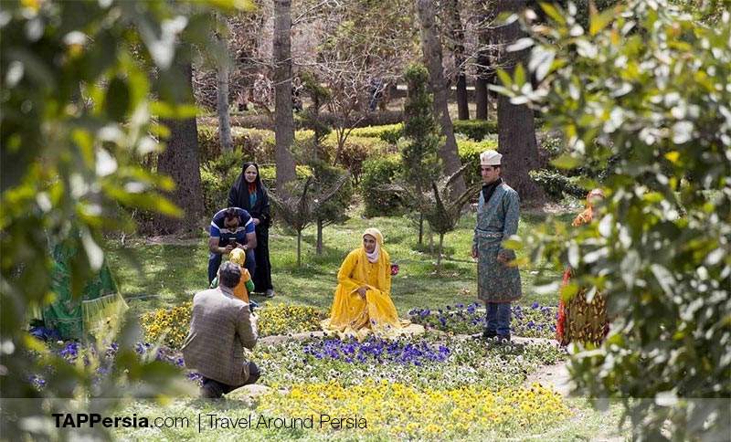 the beutifal garden in Shiraz 
