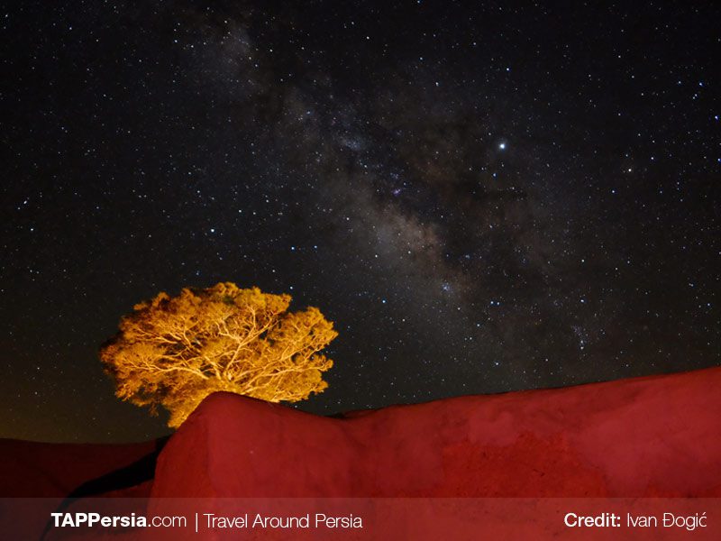 Full Board Astronomy Tour
