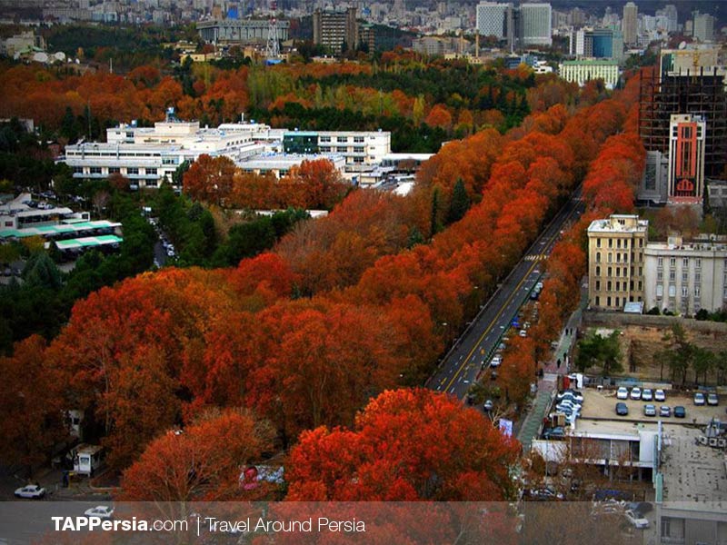 Valiasr Street - Tehran - Iran