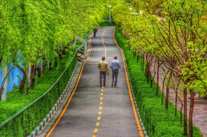 Valiasr Street - Tehran - Iran