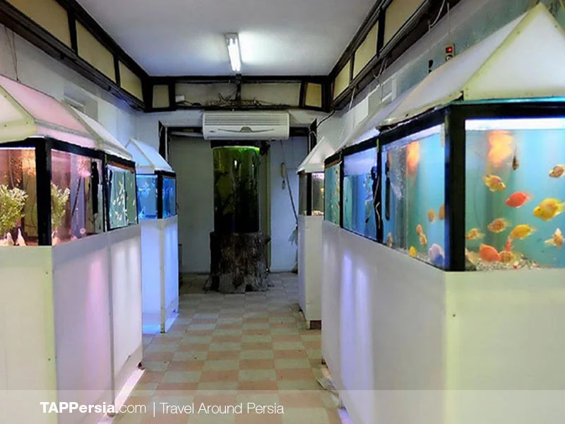 Tehran Aquarium - Iran