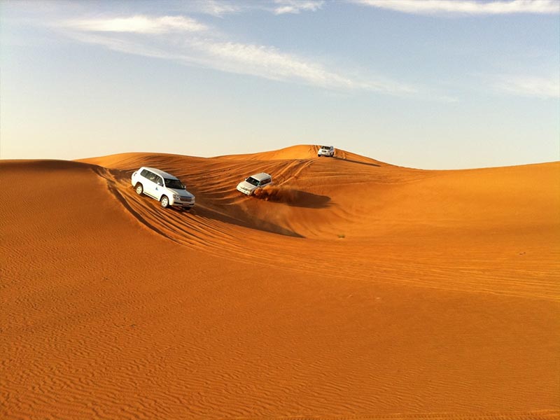Full Day Desert Safari