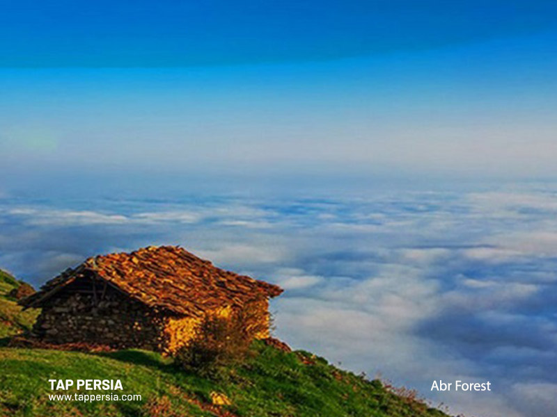 Abr (Cloud) Forest - Shahrood- Semnan - Iran