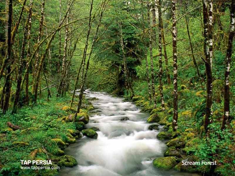 Jangal-e Jigh - Mashhad - Iran
