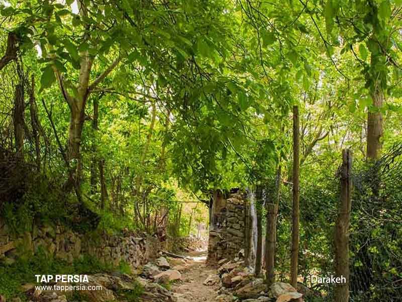 Darakeh - Tehran - Iran