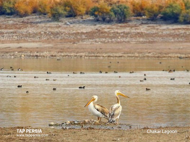 Chakar Lagoon - Ilam - Iran