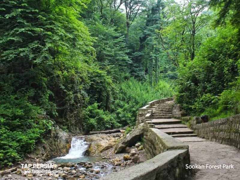 Sookan Forest Park - Semnan - Iran