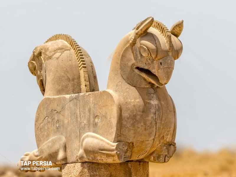 Homa Bird in Persepolis