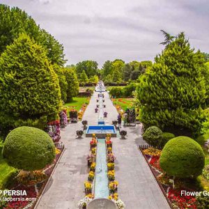 Flower Garden