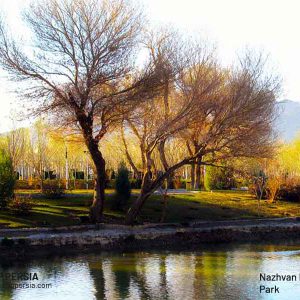 Nazhvan-Forest-Park