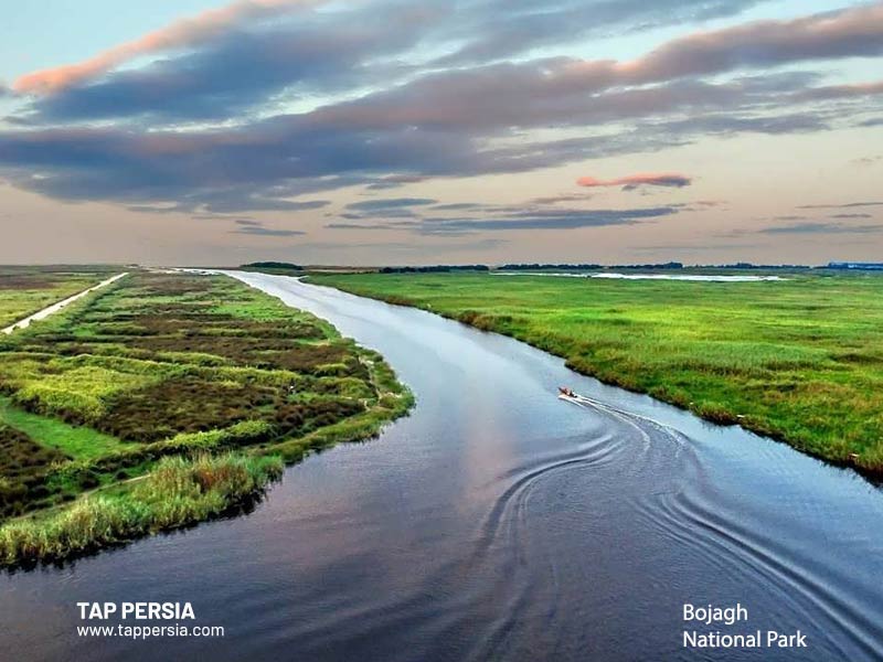 Bojagh National Park - Rasht Nature - Iran