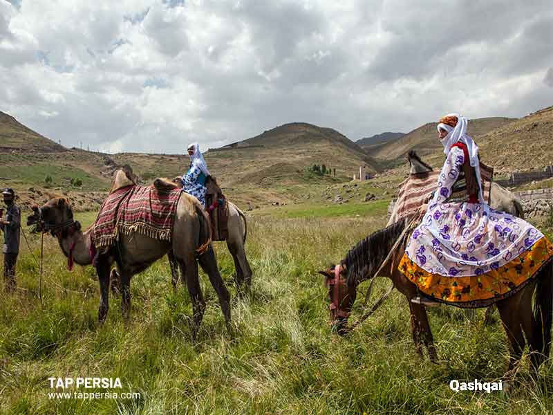 Demography of Race and Ethnicity in Iran TAPPersia