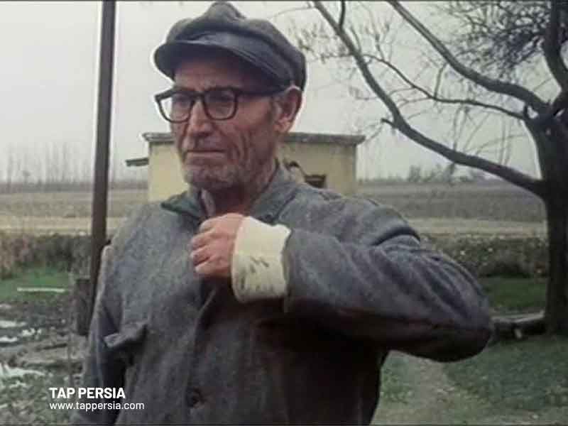 Still Life (1974)