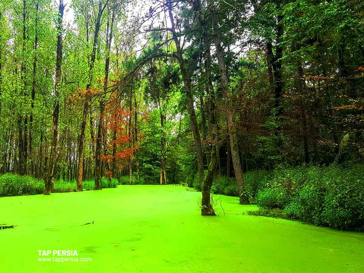 Saraval Lake